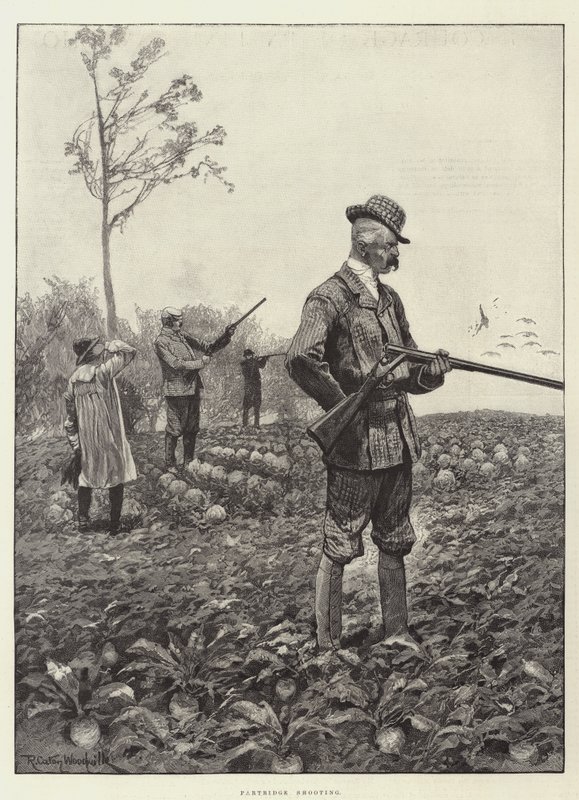 Tiro de perdiz de Richard Caton Woodville junior
