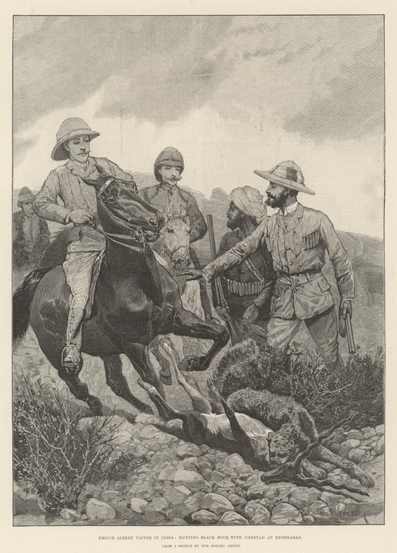 Príncipe Albert Victor na Índia, caçando Black Buck com Cheetah em Hyderabad de Richard Caton Woodville junior