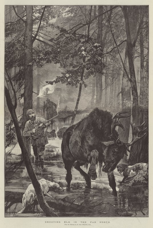 Tiro de alces no extremo norte de Richard Caton Woodville junior