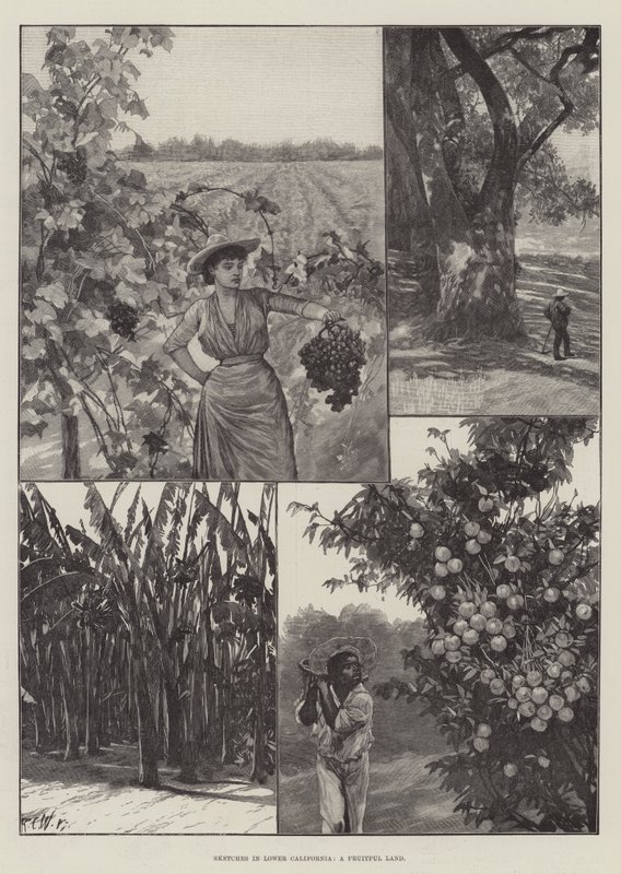 Esboços na Baixa Califórnia, uma terra frutífera de Richard Caton Woodville junior