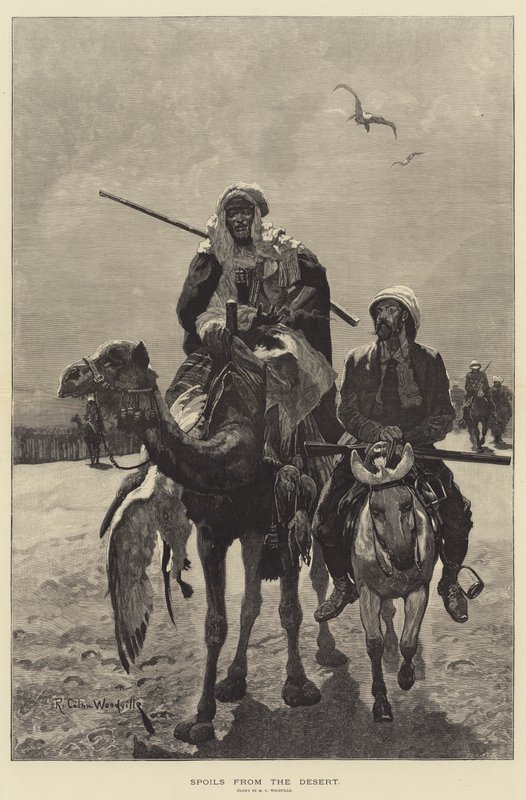 Despojos do Deserto de Richard Caton Woodville junior