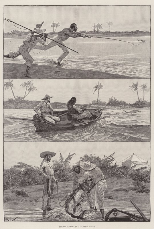 Tarpon-Fishing em um rio da Flórida de Richard Caton Woodville junior