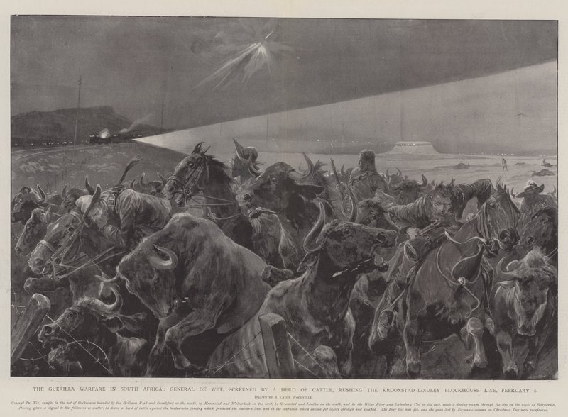 A guerra de guerrilha na África do Sul, General De Wet, exibido por um rebanho de gado, apressando a linha Kroonstad-Lindley Blockhouse, 6 de fevereiro de Richard Caton Woodville junior