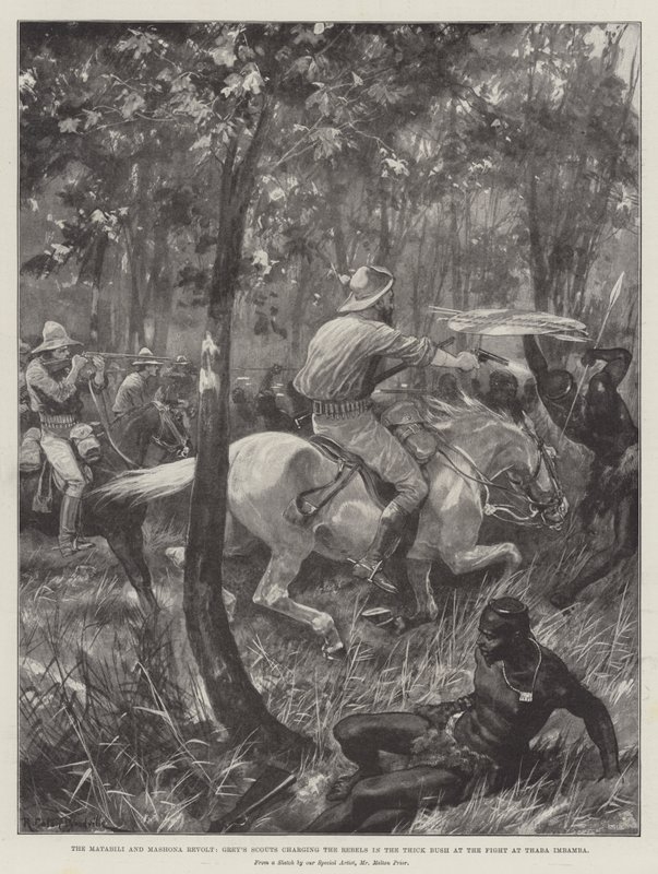 Os Matabili e Mashona Revolt, Grey&39;s Scouts cobrando os rebeldes no Thick Bush na luta em Thaba Imbamba de Richard Caton Woodville junior