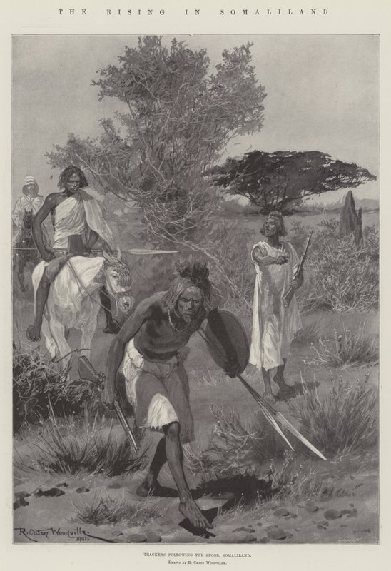 A ascensão na Somalilândia de Richard Caton Woodville junior