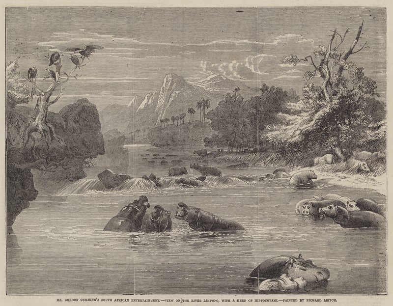 Entretenimento sul-africano de Gordon Cumming, vista sobre o rio Limpopo, com um rebanho de hipopótamos de Richard Principal Leitch