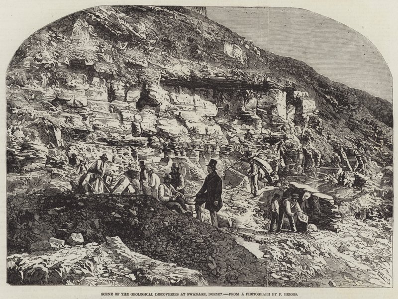 Cena das Descobertas Geológicas em Swanage, Dorset de Richard Principal Leitch
