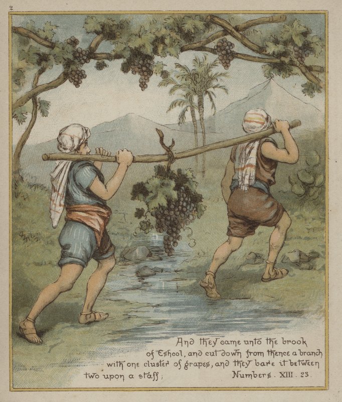 Um cacho de uvas de Eshcol de Richard Andre