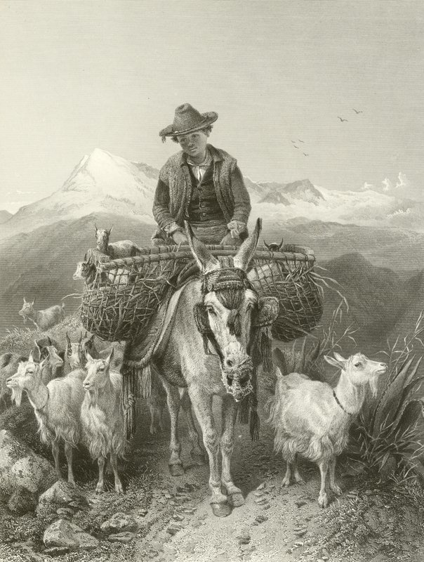 O pastor de granada de Richard Ansdell