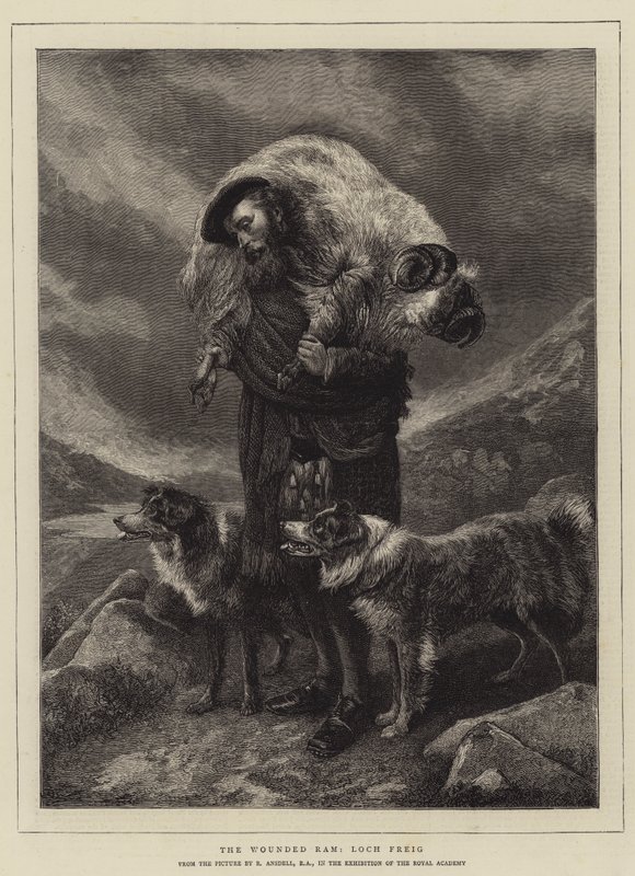 The Wounded Ram, gravura de Loch Freig de Richard Ansdell