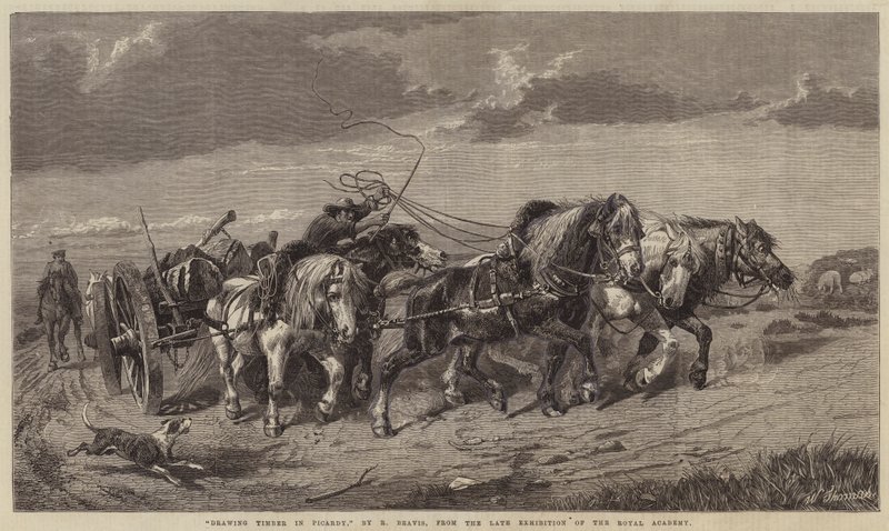 Desenho de madeira na Picardia de Richard Beavis