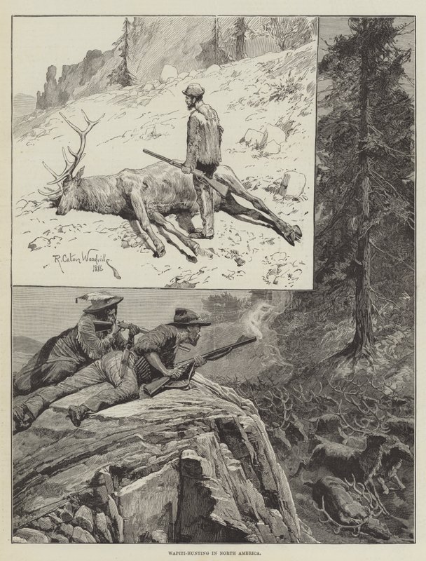 Wapiti-Hunting na América do Norte (gravura) de Richard Caton II (after) Woodville