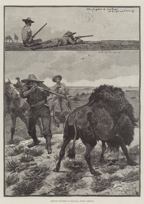 Caçadores de búfalos em Montana, América do Norte de Richard Caton Woodville junior