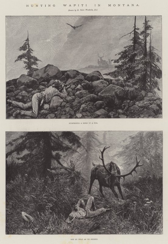 Caça Wapiti em Montana de Richard Caton Woodville junior