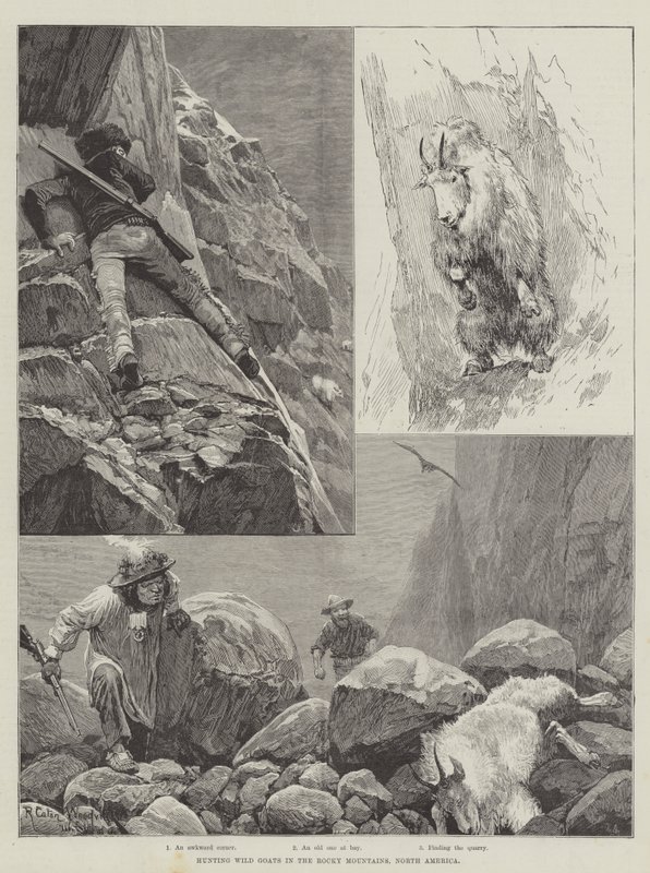 Caçando cabras selvagens nas montanhas rochosas, América do Norte de Richard Caton Woodville junior