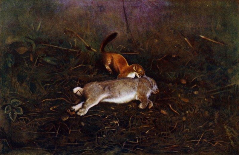 O banco (foto) de Richard and Cherry Kearton