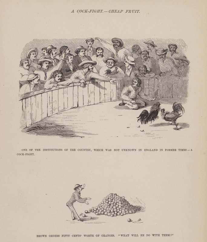 Página de The American Tour of Messrs Brown, Jones and Robinson (gravura) de Richard Doyle