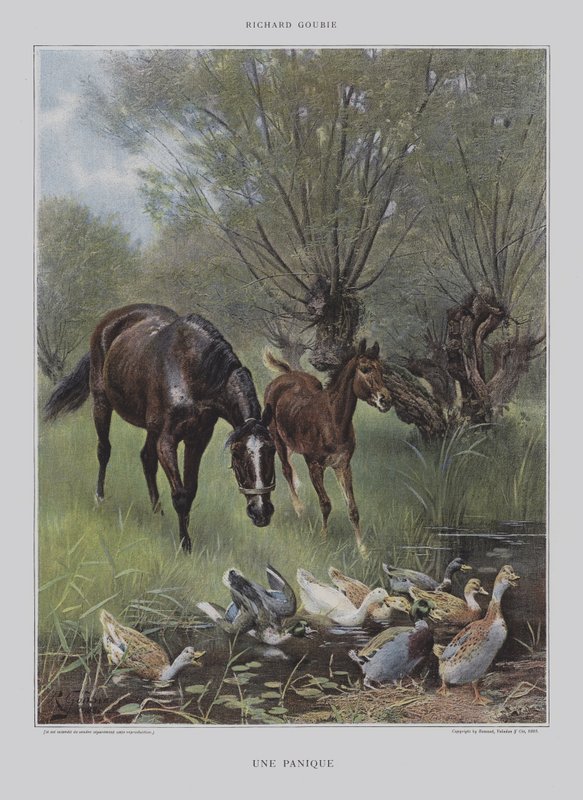 Um pânico (um pânico) de Richard Doyle