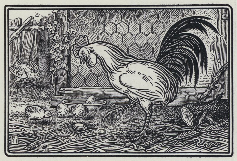 O Galo e a Pérola (gravura) de Richard Heighway