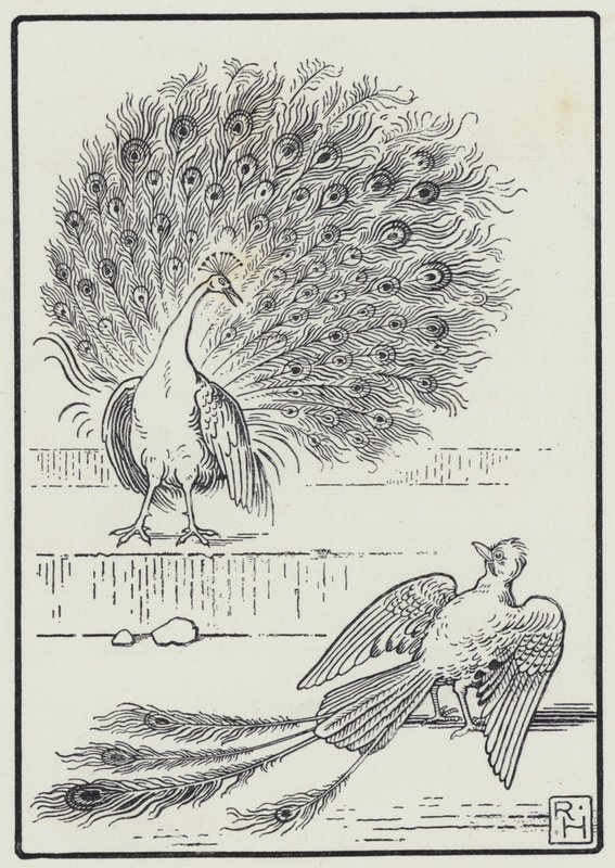 The Jay And The Peacock (gravura) de Richard Heighway