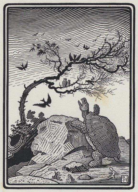 A Tartaruga e as Aves (gravura) de Richard Heighway