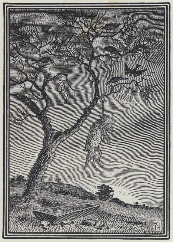 O Lobo em Roupa de Carneiro (gravação) de Richard Heighway