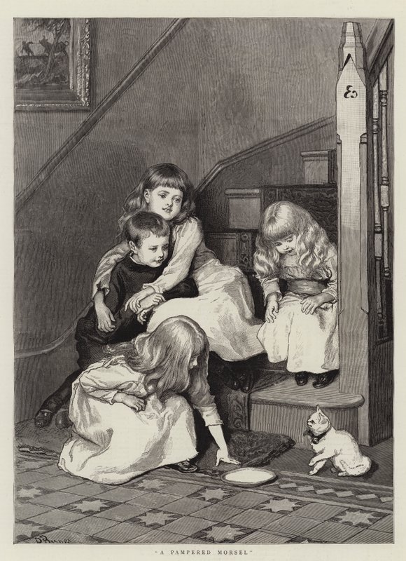 Um pedaço mimado de Robert Barnes