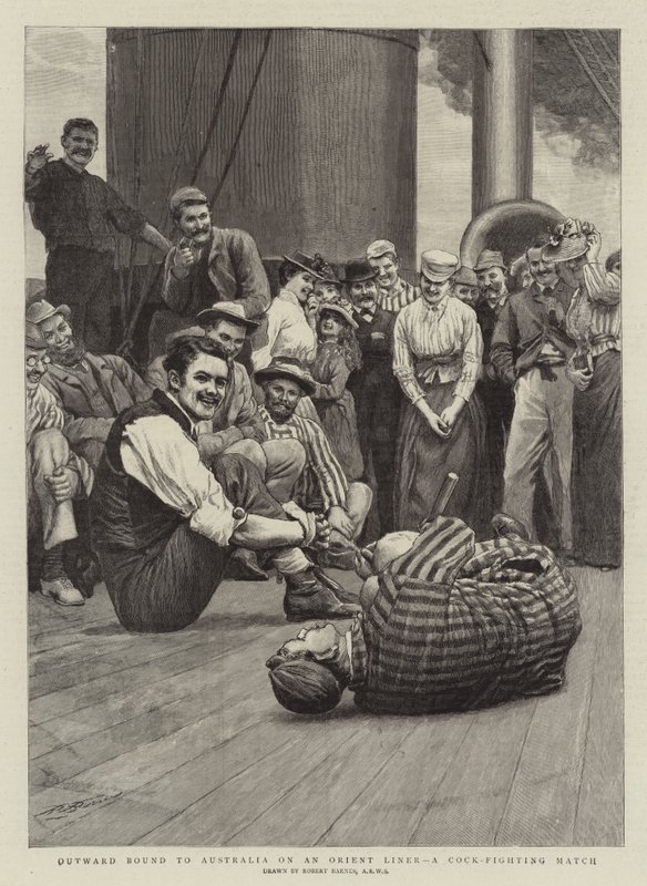 Outward ligado a Austrália em um Orient Liner, um jogo de luta de galo de Robert Barnes