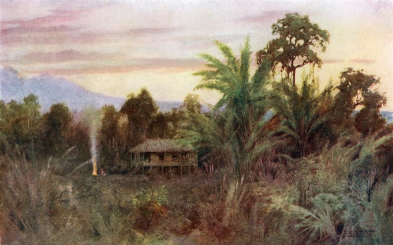 Uma floresta Tai de Robert George Talbot Kelly