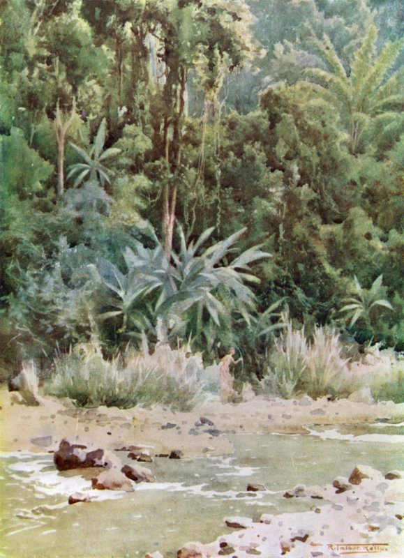 Um fluxo de selva de Robert George Talbot Kelly