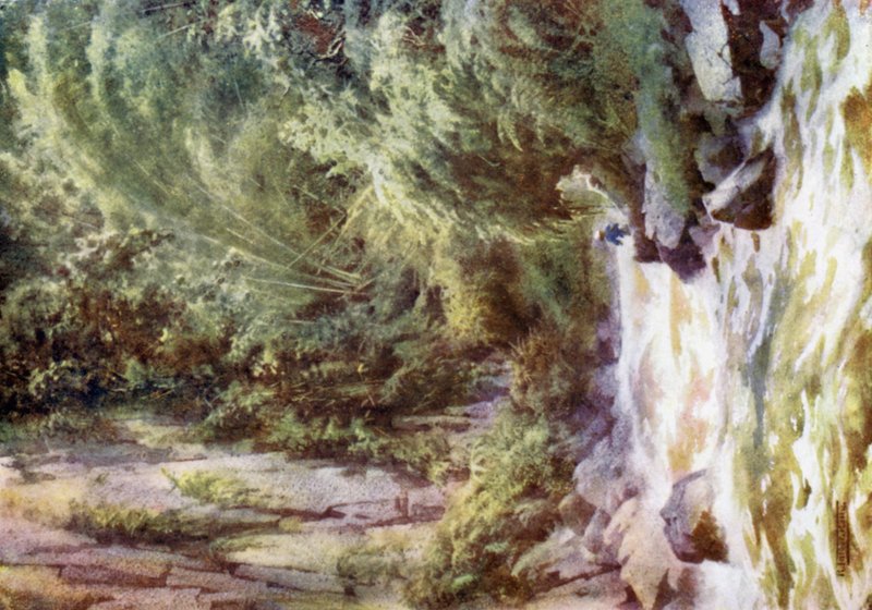 Uma Torrente da Montanha de Robert George Talbot Kelly
