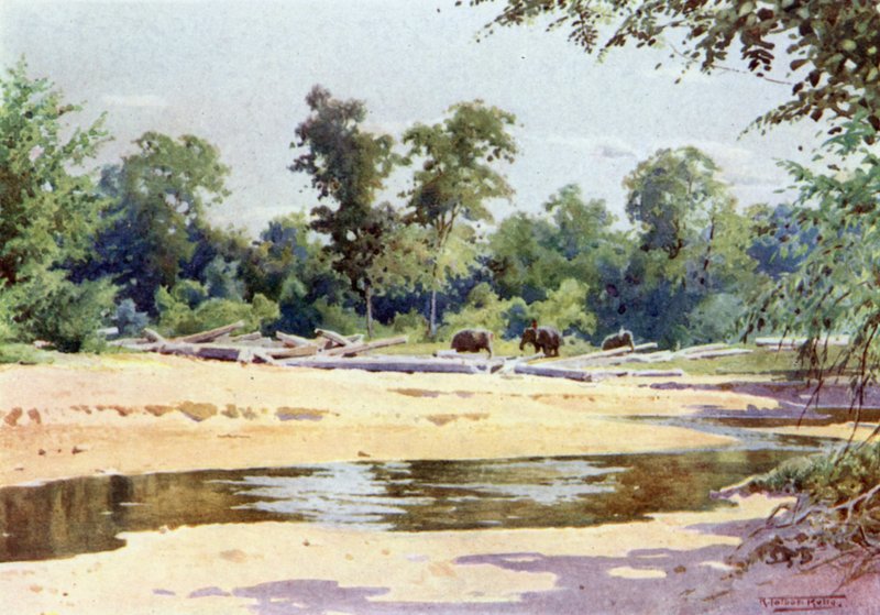 Elefantes limpando um Pone of Logs em Kokogon de Robert George Talbot Kelly