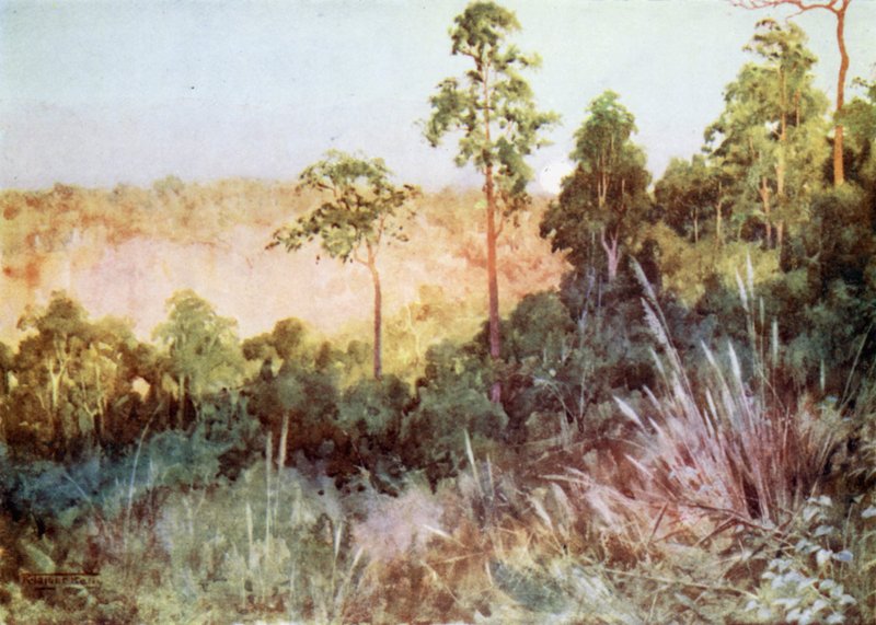 Selva na Linha Lashio de Robert George Talbot Kelly