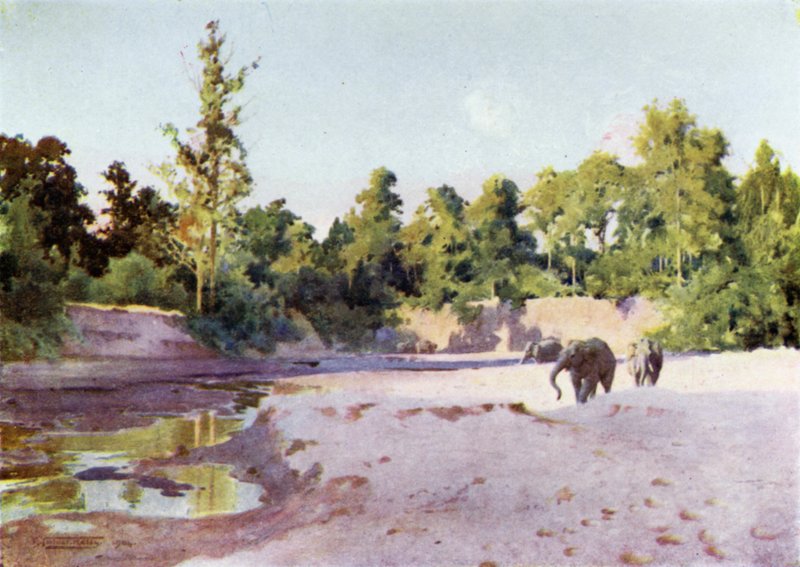 No Kyouk-mee-Choung de Robert George Talbot Kelly