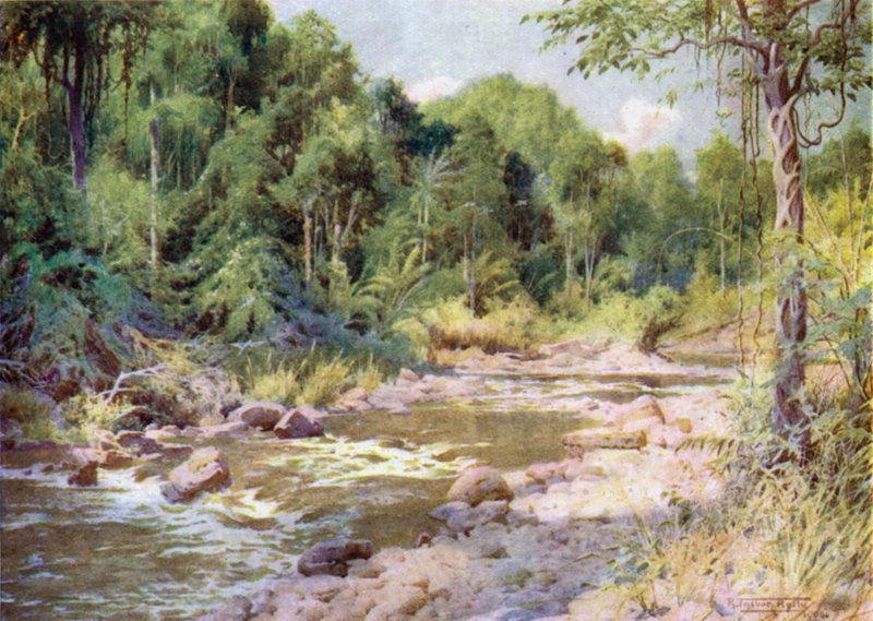 No rio Sterne de Robert George Talbot Kelly