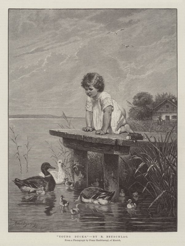 Patos jovens de Robert Julius Beyschlag