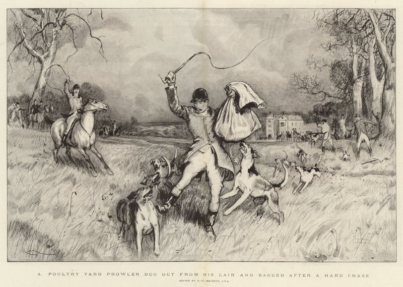 Um ladrão de aves de capoeira escavado fora de seu covil e ensacado após uma dura perseguição de Robert Walker Macbeth