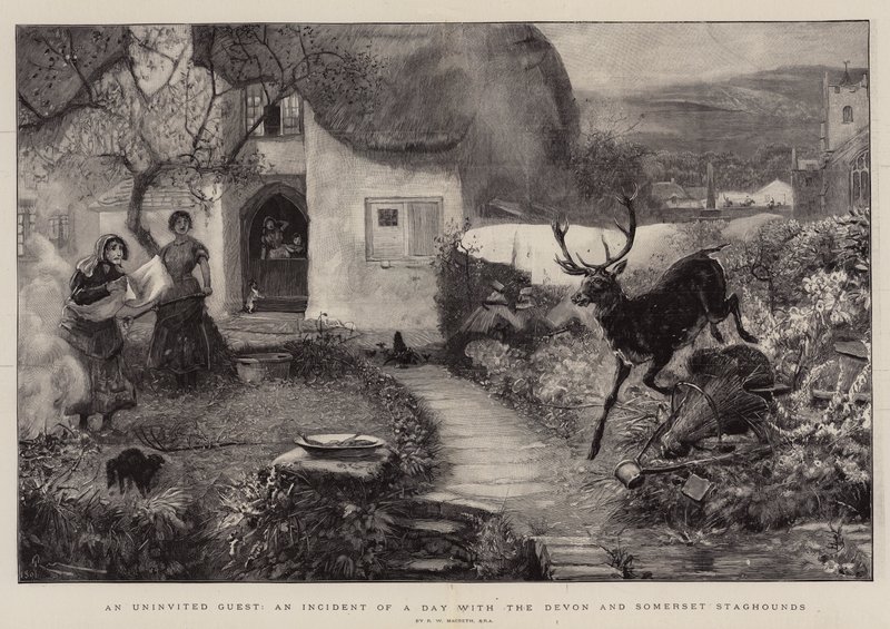 Um convidado sem convite, um incidente de um dia com Devon e Somerset Staghounds de Robert Walker Macbeth