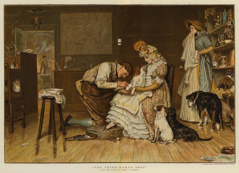 A loja do veterinário (chromolitho) de Robert Walker Macbeth