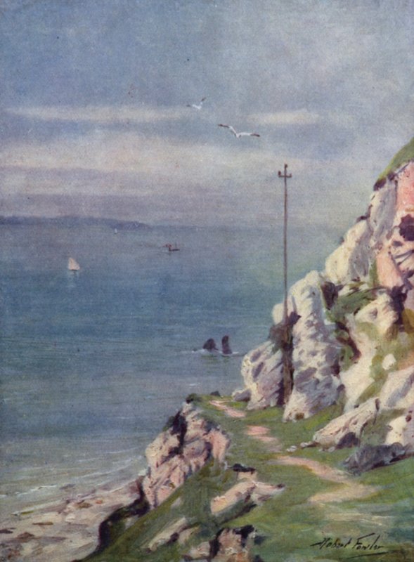 Um Caminho a pé na Grande Orme (cor litho) de Robert (after) Fowler