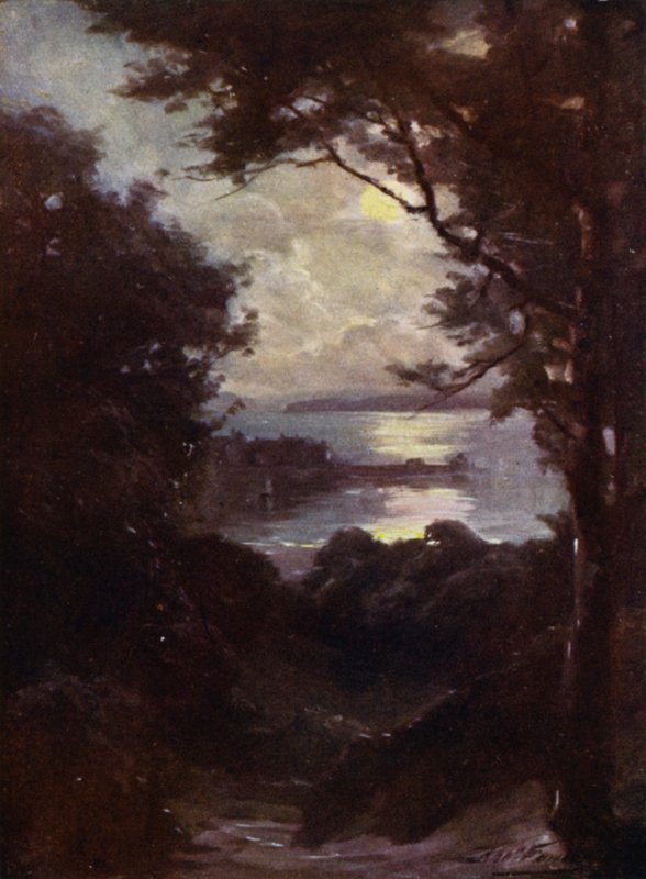 Beaumaris, Moonlight (cor litho) de Robert (after) Fowler