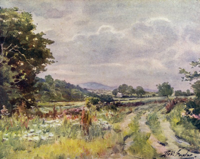 Country Lane (cor litho) de Robert (after) Fowler