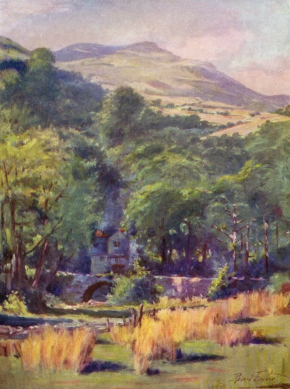 Montanha Duffws (cor litho) de Robert (after) Fowler