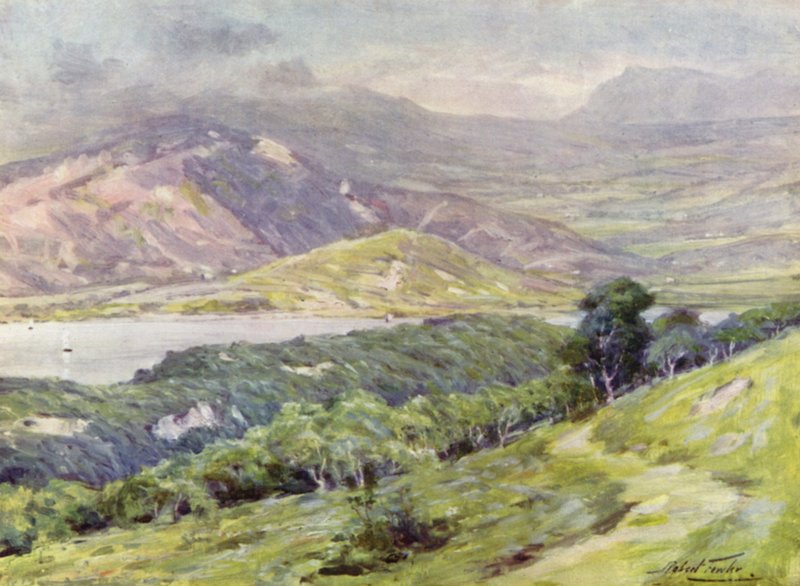 Duffws Mountain in Mist (cor litho) de Robert (after) Fowler