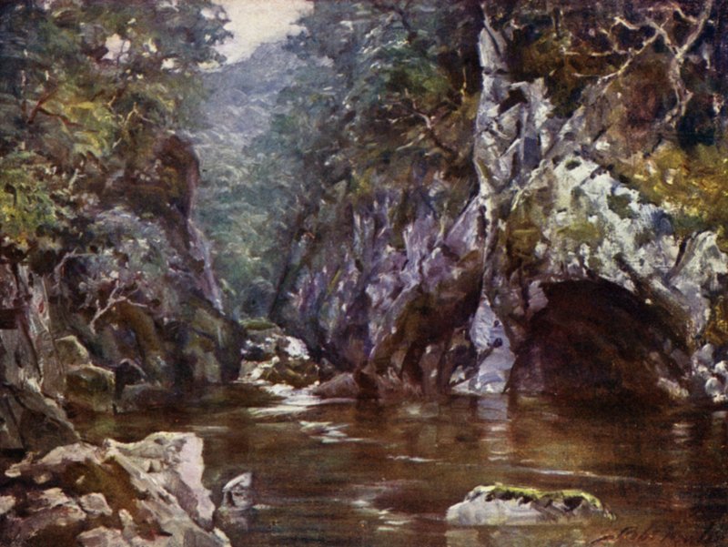 Fada Glen, Bettws-y-Coed (cor litho) de Robert (after) Fowler