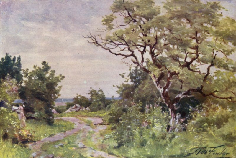 Field Path, perto de Llanrug (cor litho) de Robert (after) Fowler