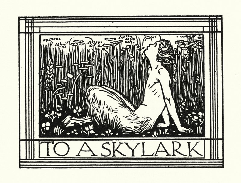 Shelley: To A Skylark (litografia) de Robert Anning Bell