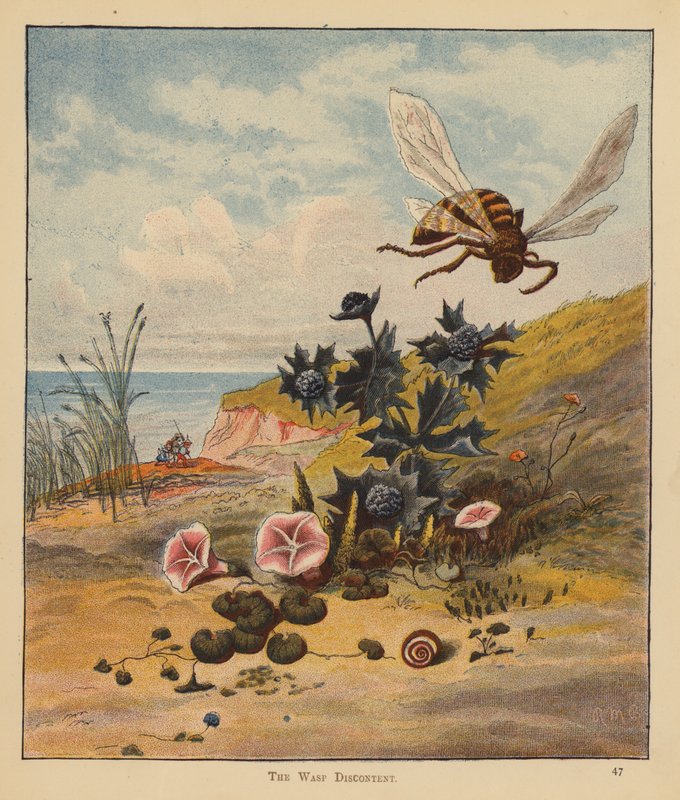 Os Gatinhos Peregrinos: O Descontentamento da Vespa (cor litho) de Robert Michael Ballantyne