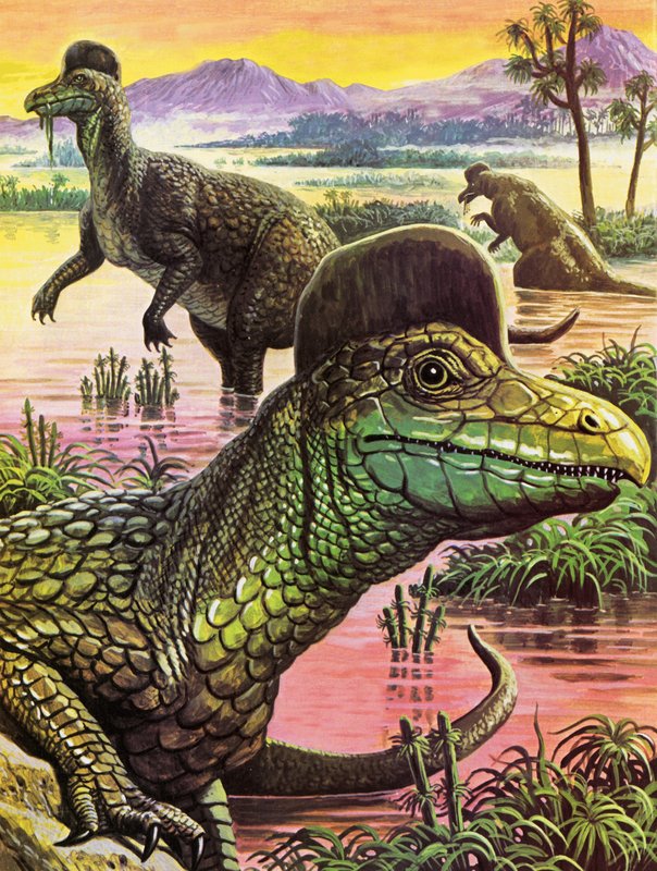 Corythosaurus de Roger Payne