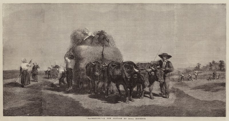 Ceifa de Rosa Bonheur
